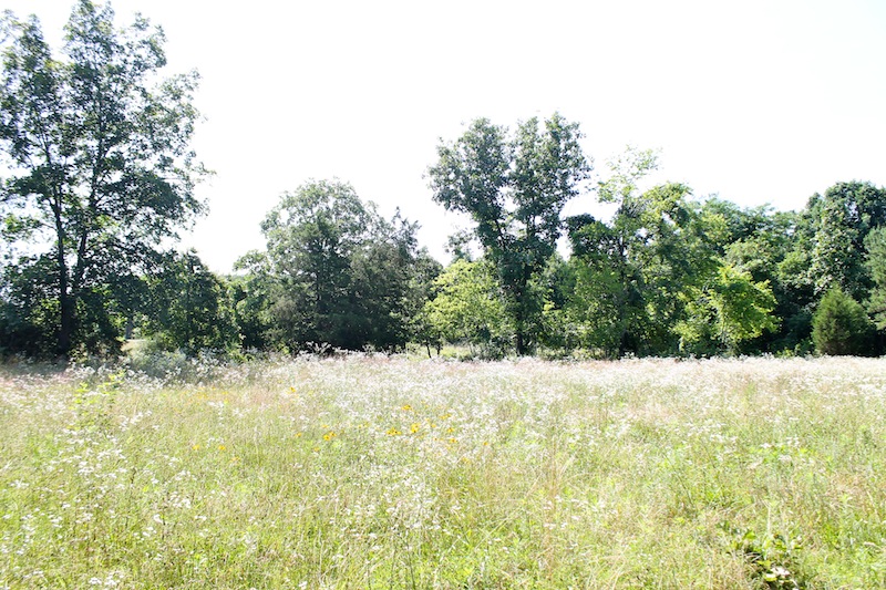 Tract 10 at Green Mountain Ranch in Shannon County, Missouri