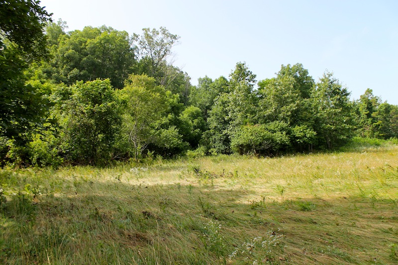 Tract 13 at Green Mountain Ranch in Shannon County, Missouri