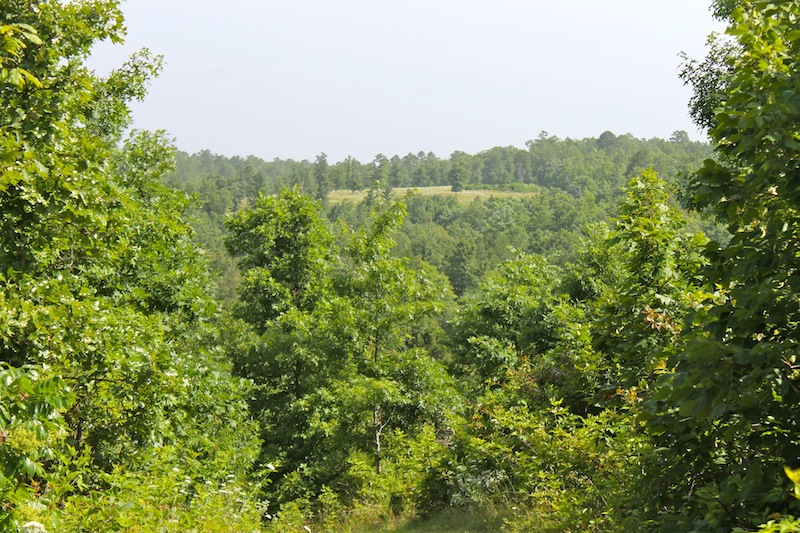 Tract 14 at Green Mountain Ranch in Shannon County, Missouri