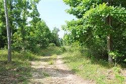 property photo for Green Mountain Ranch Tract 15, 12.59 acres for sale in Shannon County, Missouri