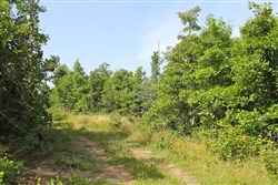 property photo for Green Mountain Ranch Tract 15, 12.59 acres for sale in Shannon County, Missouri
