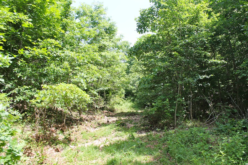 Tract 27 at Green Mountain Ranch in Shannon County, Missouri