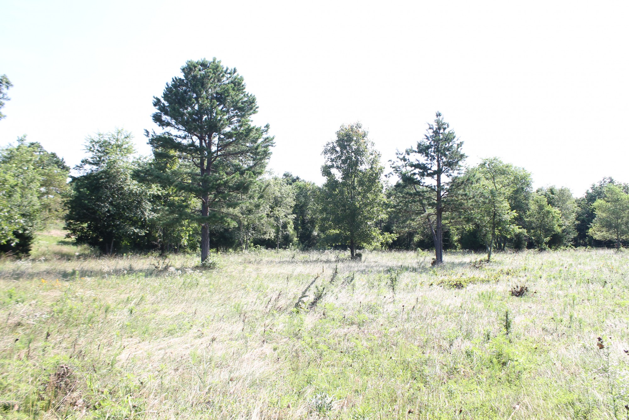 Tract 9 at Green Mountain Ranch in Shannon County, Missouri