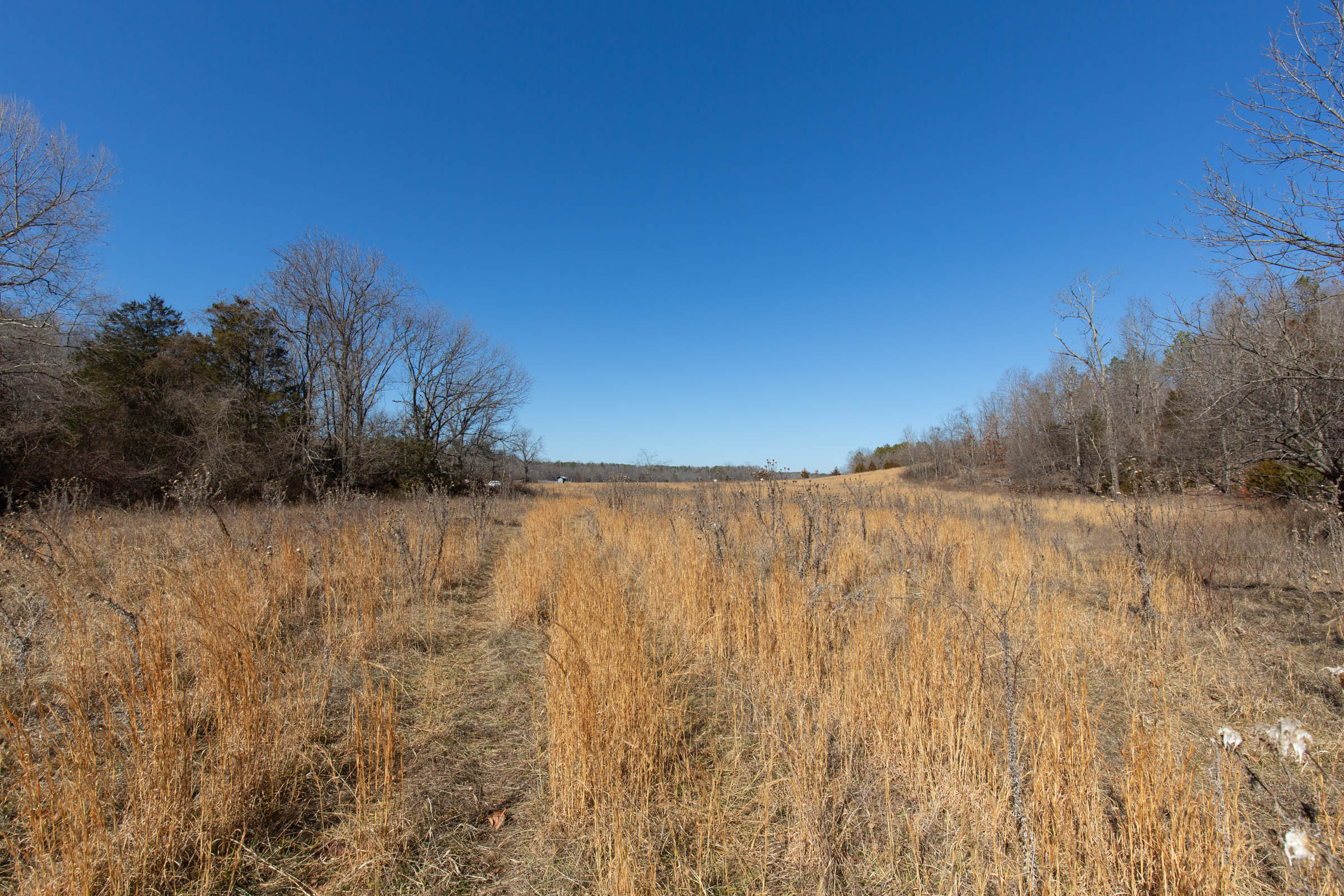 Tract 17 at Oconnor Crossing in Shannon County, Missouri