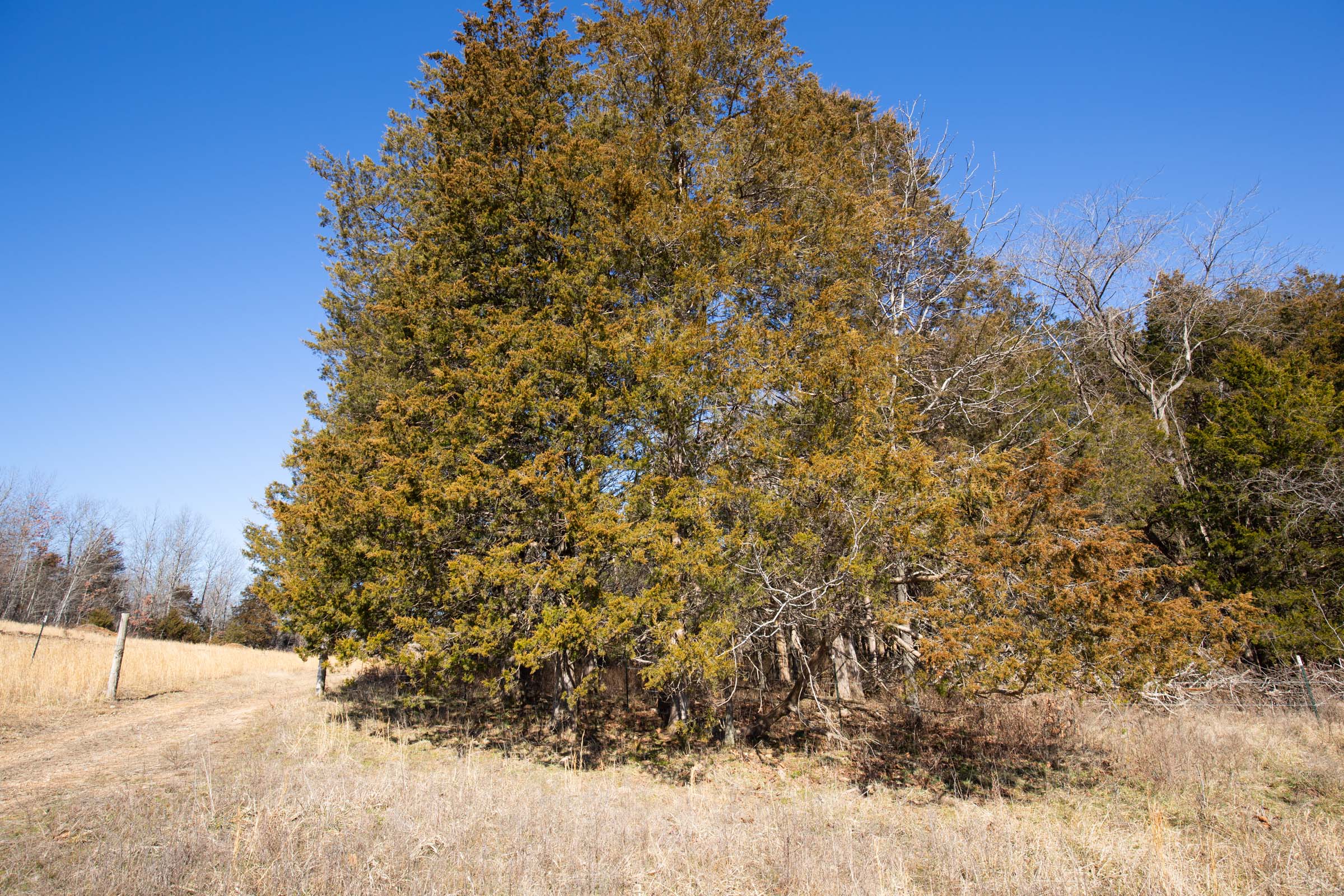 Tract 19 at Oconnor Crossing in Shannon County, Missouri