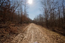 property photo for Oconnor Crossing Tract 24, 13.29 acres for sale in Shannon County, Missouri