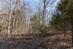 property photo for Oconnor Crossing Tract 24, 13.29 acres for sale in Shannon County, Missouri