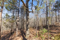 property photo for Oconnor Crossing Tract 24, 13.29 acres for sale in Shannon County, Missouri