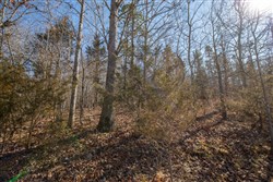property photo for Oconnor Crossing Tract 24, 13.29 acres for sale in Shannon County, Missouri