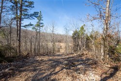 property photo for Oconnor Crossing Tract 24, 13.29 acres for sale in Shannon County, Missouri