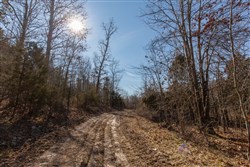 property photo for Oconnor Crossing Tract 24, 13.29 acres for sale in Shannon County, Missouri