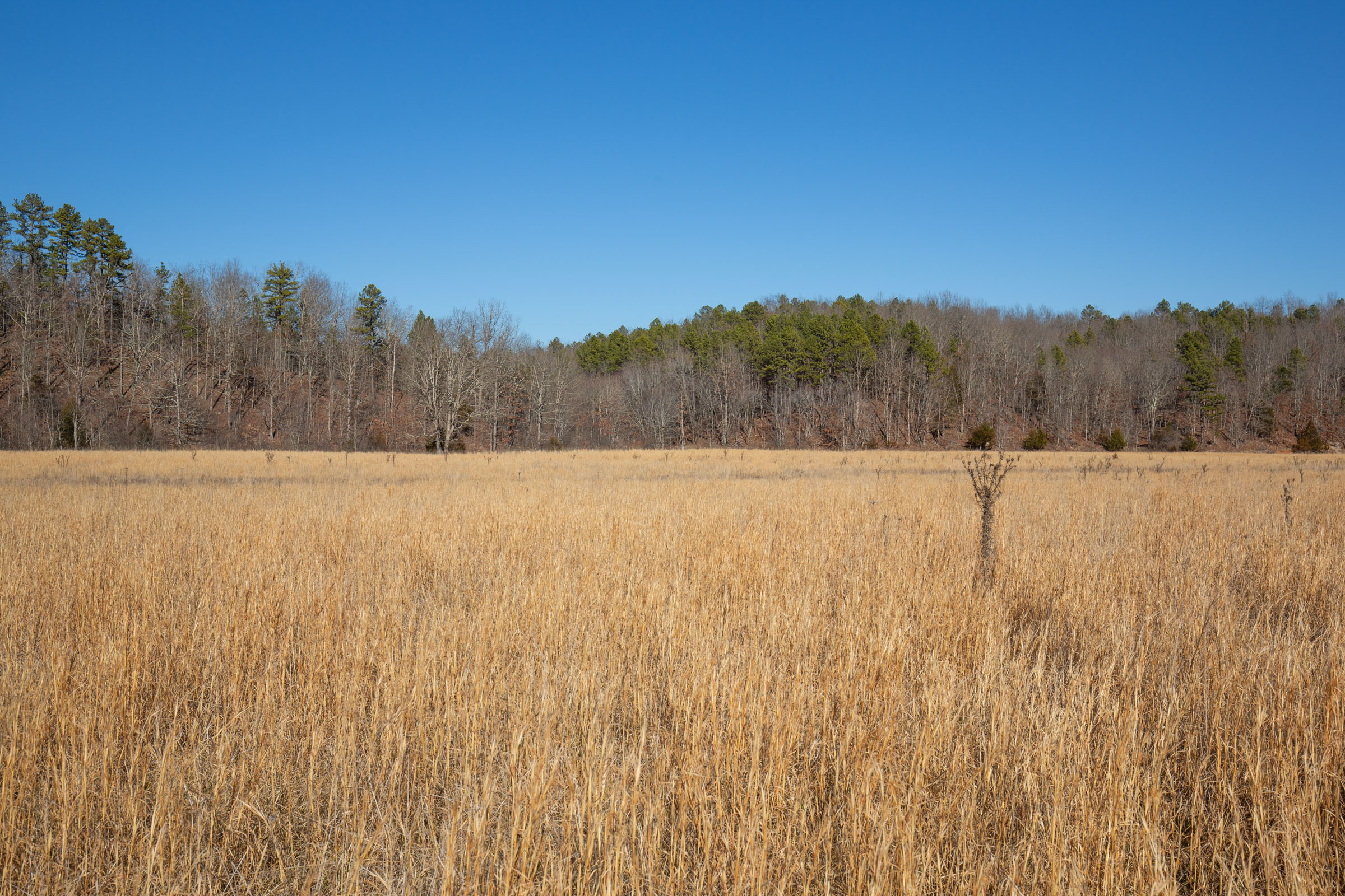 Tract 3 at Oconnor Crossing in Shannon County, Missouri