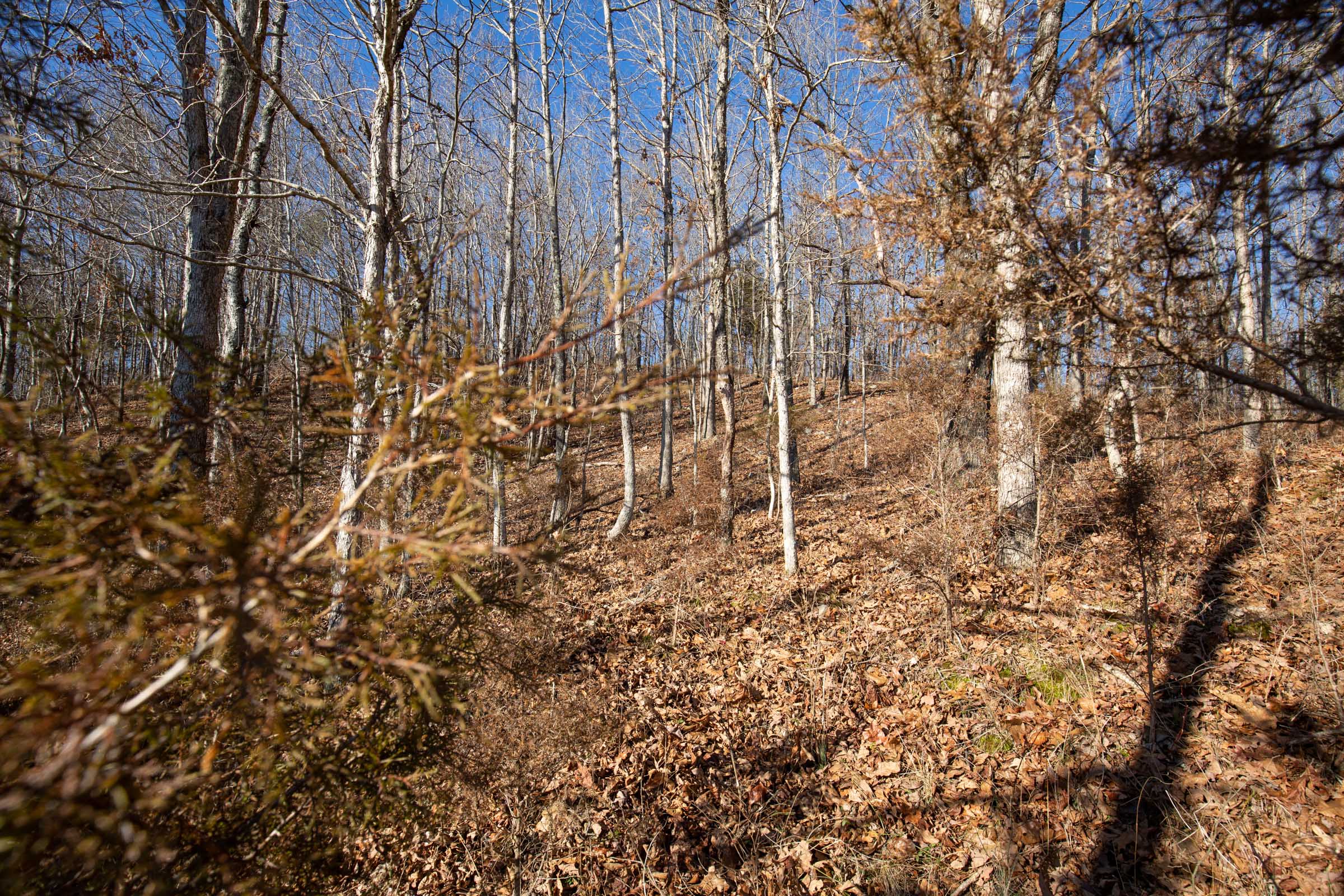 Tract 6 at Oconnor Crossing in Shannon County, Missouri