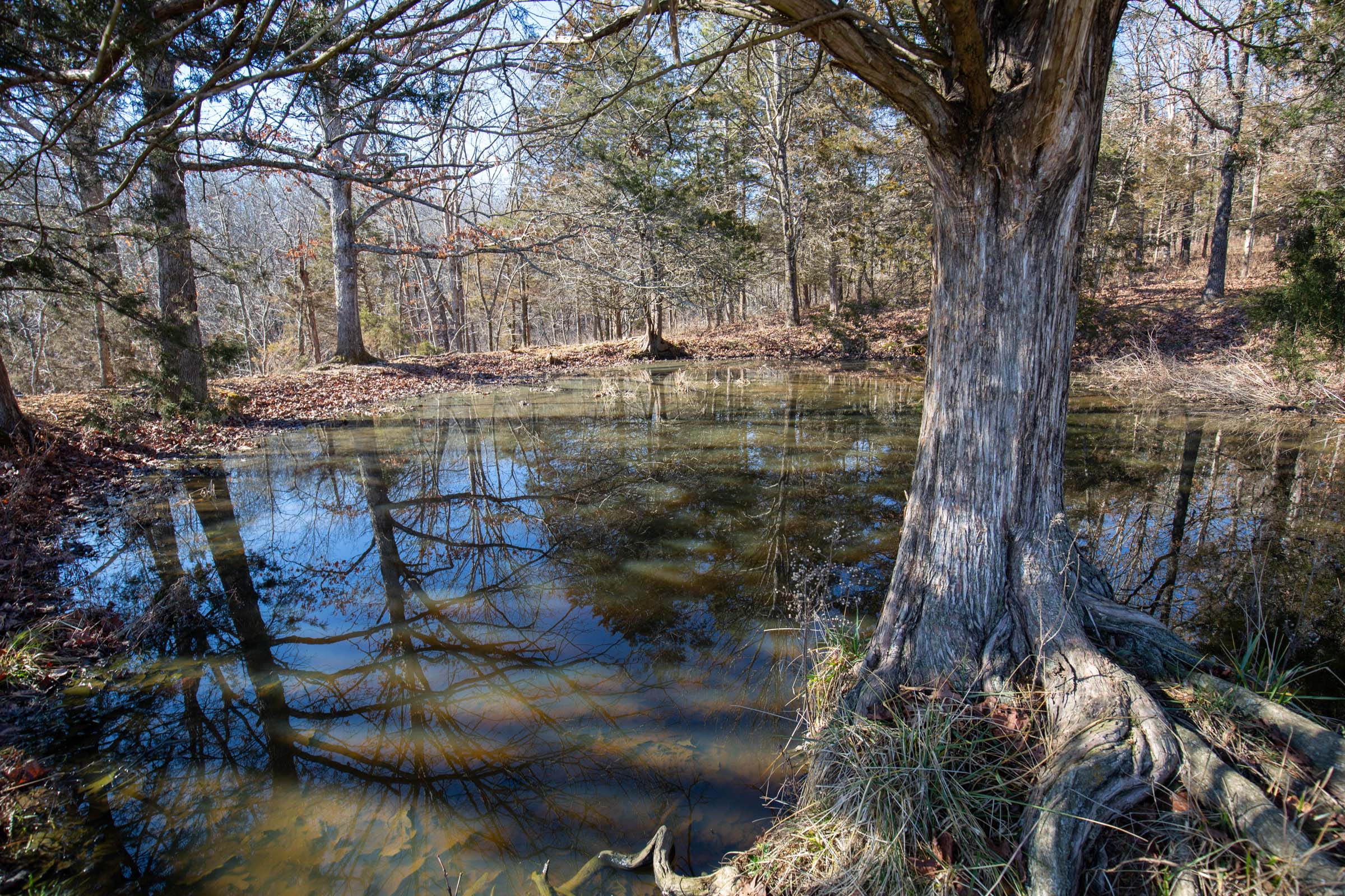 Tract 7 at Oconnor Crossing in Shannon County, Missouri