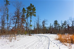 property photo for Sleepy Hollow Phase I Tract 2, 6.99 acres for sale in Texas County, Missouri