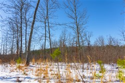 property photo for Sleepy Hollow Phase I Tract 2, 6.99 acres for sale in Texas County, Missouri