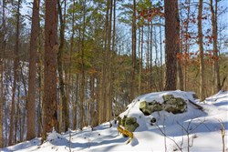 property photo for Sleepy Hollow Phase I Tract 2, 6.99 acres for sale in Texas County, Missouri