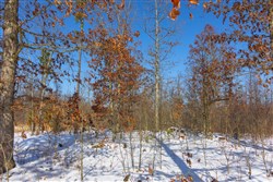 property photo for Sleepy Hollow Phase I Tract 2, 6.99 acres for sale in Texas County, Missouri
