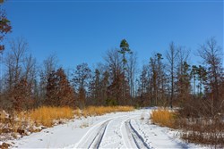 property photo for Sleepy Hollow Phase I Tract 2, 6.99 acres for sale in Texas County, Missouri