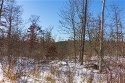 property photo for Sleepy Hollow Phase I Tract 2, 6.99 acres for sale in Texas County, Missouri