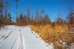 property photo for Sleepy Hollow Phase I Tract 25, 7.23 acres for sale in Texas County, Missouri