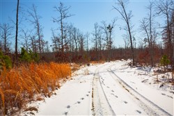 property photo for Sleepy Hollow Phase I Tract 25, 7.23 acres for sale in Texas County, Missouri