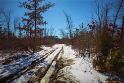 property photo for Sleepy Hollow Phase I Tract 27, 7.03 acres for sale in Texas County, Missouri