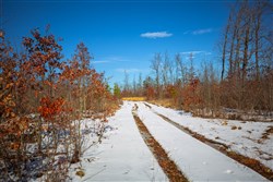 property photo for Sleepy Hollow Phase I Tract 27, 7.03 acres for sale in Texas County, Missouri