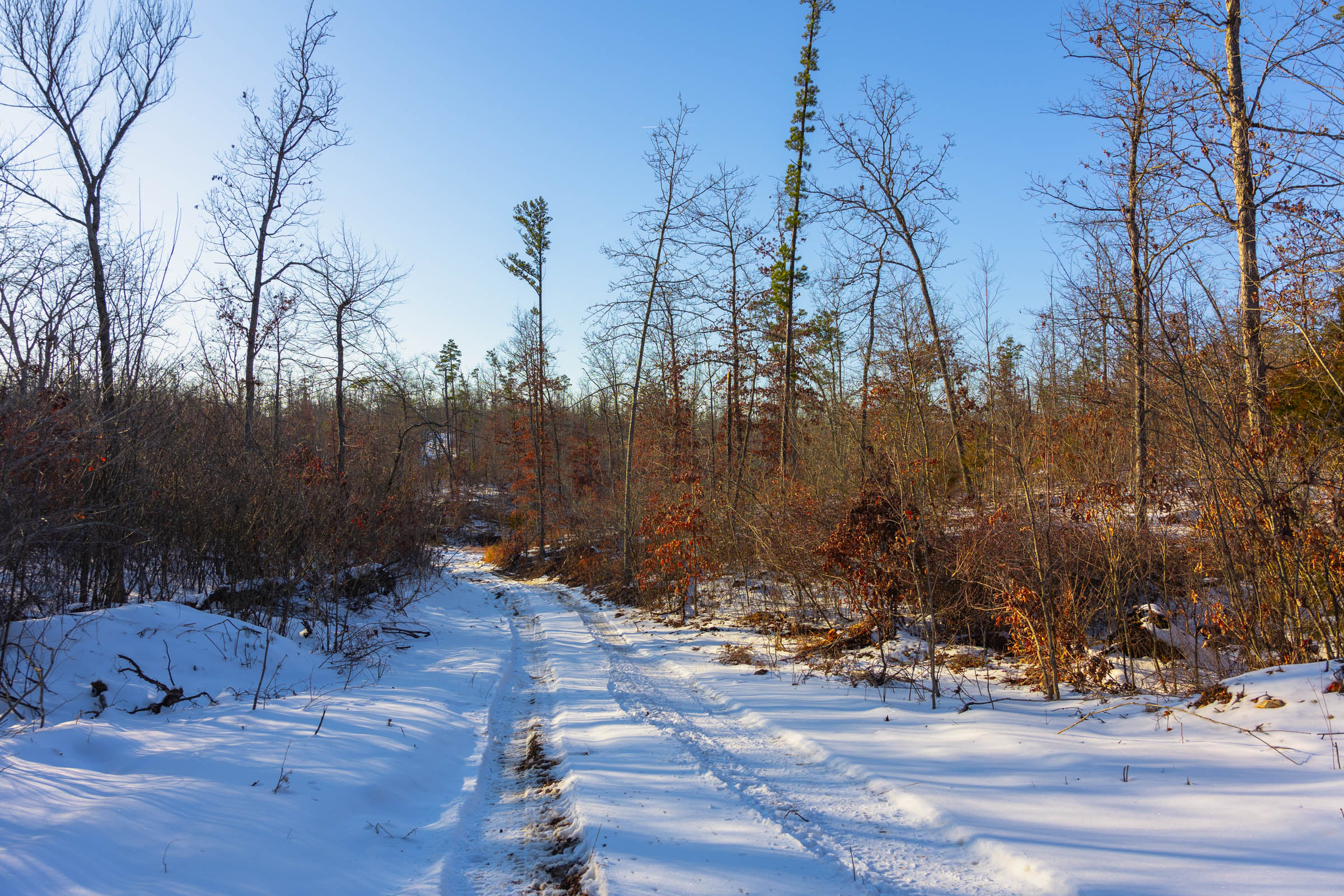 Tract 31 at Sleepy Hollow Phase I in Texas County, Missouri