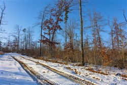property photo for Sleepy Hollow Phase I Tract 32, 6.04 acres for sale in Texas County, Missouri