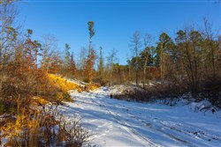 property photo for Sleepy Hollow Phase I Tract 32, 6.04 acres for sale in Texas County, Missouri