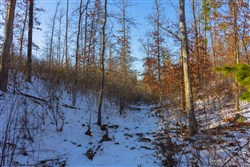 property photo for Sleepy Hollow Phase I Tract 32, 6.04 acres for sale in Texas County, Missouri