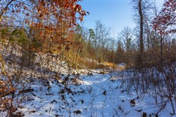 property photo for Sleepy Hollow Phase I Tract 32, 6.04 acres for sale in Texas County, Missouri