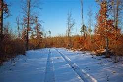 property photo for Sleepy Hollow Phase I Tract 37, 6.67 acres for sale in Texas County, Missouri