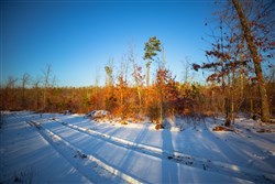 property photo for Sleepy Hollow Phase I Tract 37, 6.67 acres for sale in Texas County, Missouri