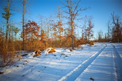 property photo for Sleepy Hollow Phase I Tract 37, 6.67 acres for sale in Texas County, Missouri
