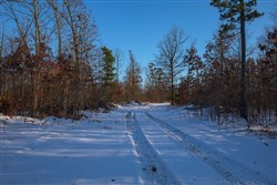 property photo for Sleepy Hollow Phase I Tract 41, 5.4 acres for sale in Texas County, Missouri