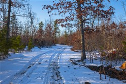 property photo for Sleepy Hollow Phase I Tract 41, 5.4 acres for sale in Texas County, Missouri