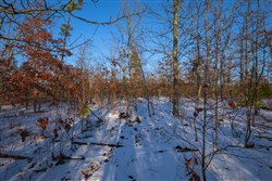 property photo for Sleepy Hollow Phase I Tract 41, 5.4 acres for sale in Texas County, Missouri