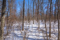 property photo for Sleepy Hollow Phase I Tract 47, 9.47 acres for sale in Texas County, Missouri