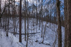 property photo for Sleepy Hollow Phase I Tract 47, 9.47 acres for sale in Texas County, Missouri