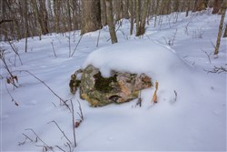 property photo for Sleepy Hollow Phase I Tract 47, 9.47 acres for sale in Texas County, Missouri