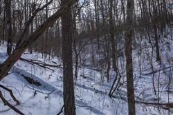 property photo for Sleepy Hollow Phase I Tract 47, 9.47 acres for sale in Texas County, Missouri