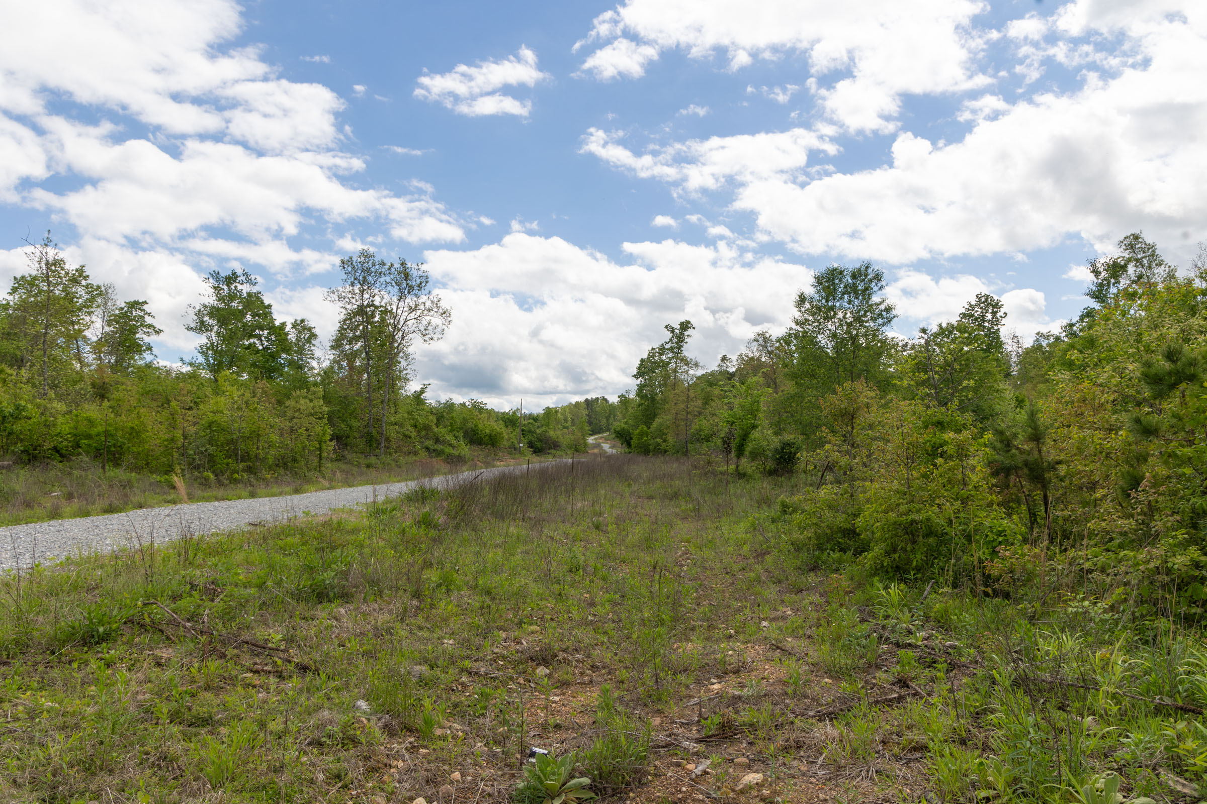 Tract 100 at Sleepy Hollow Phase II in Texas County, Missouri