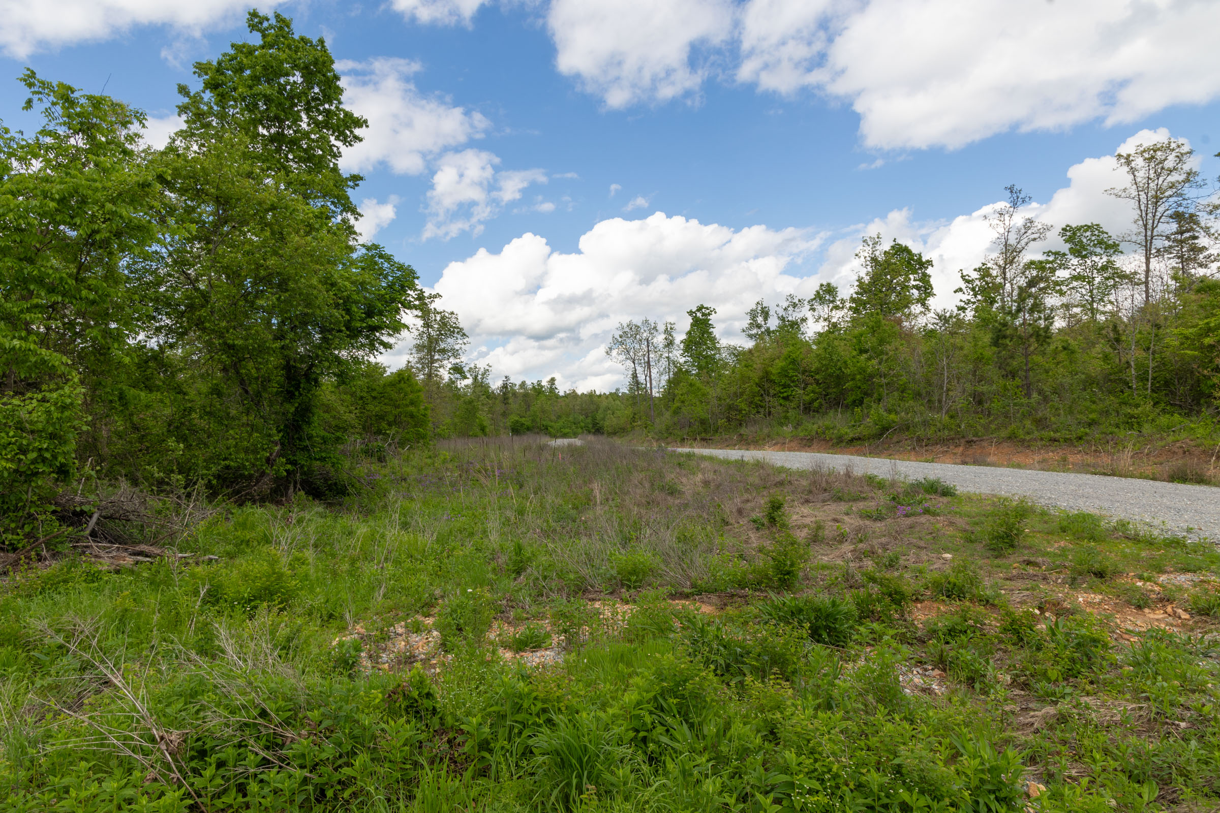 Tract 101 at Sleepy Hollow Phase II in Texas County, Missouri