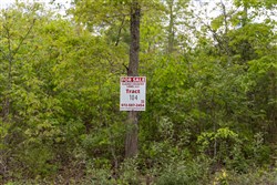 property photo for Sleepy Hollow Phase II Tract 104, 5.82 acres for sale in Texas County, Missouri