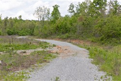 property photo for Sleepy Hollow Phase II Tract 104, 5.82 acres for sale in Texas County, Missouri
