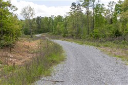 property photo for Sleepy Hollow Phase II Tract 104, 5.82 acres for sale in Texas County, Missouri