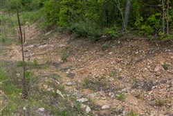 property photo for Sleepy Hollow Phase II Tract 104, 5.82 acres for sale in Texas County, Missouri