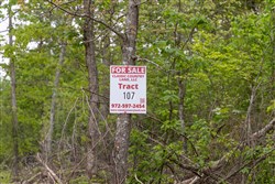 property photo for Sleepy Hollow Phase II Tract 107, 6.52 acres for sale in Texas County, Missouri